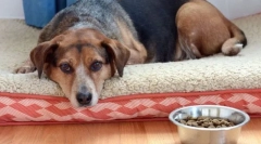 Hormonální poruchy